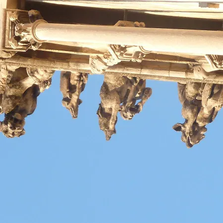Apartamento L' Intemporelle *